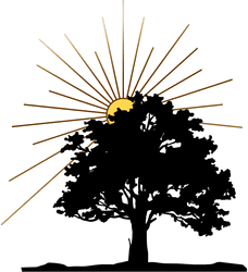 BrightGenerations — a tree beneath a rising sun